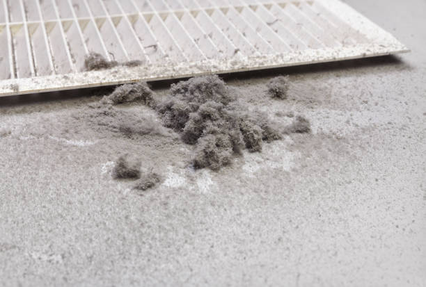 Air Duct Mold Removal in Berlin, MD
